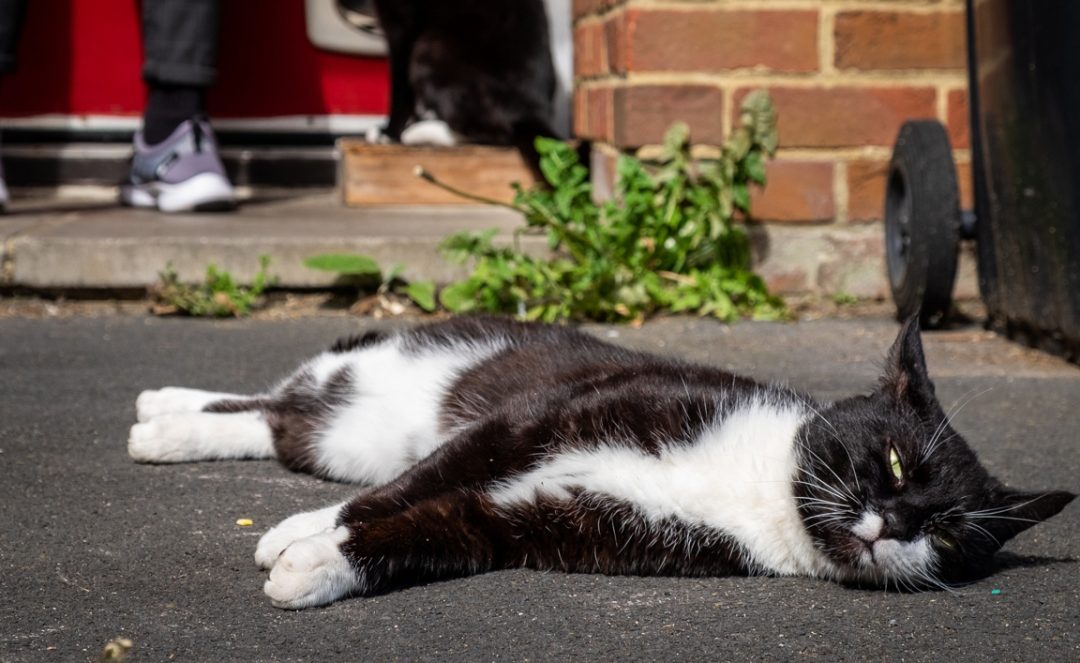 Photography & Mental Health and Wellbeing
