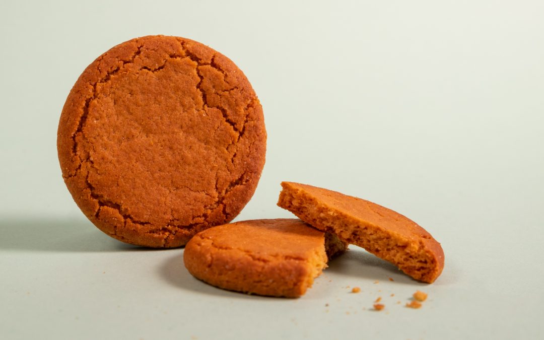 The Lockdown 50kcal Biscuit Review